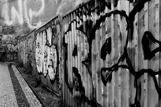 Murus Vox