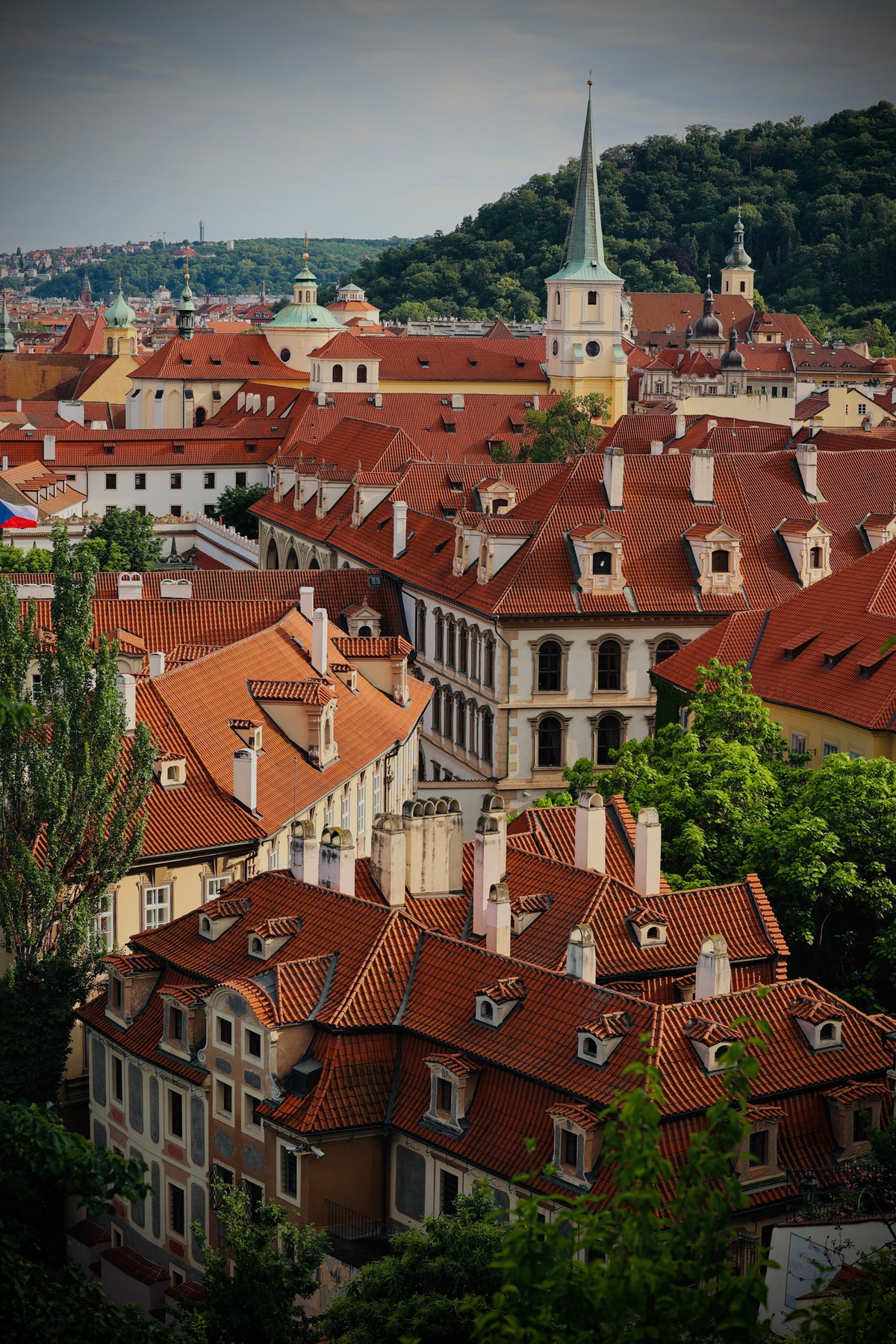 Tecta Rubra
