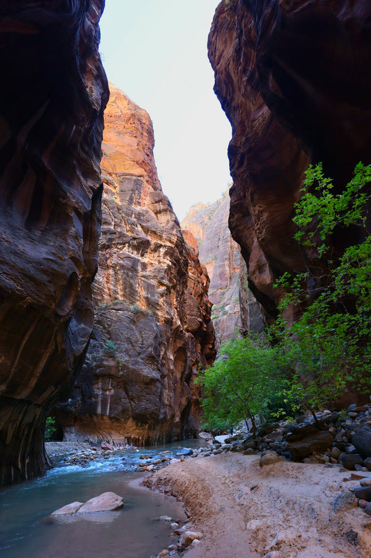 Vox Petrae